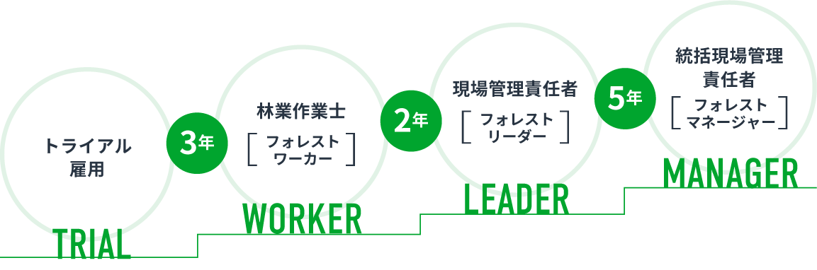 トライアル雇用、3年：林業作業士「フォレストワーカー」、2年：現場管理責任者「フォレストリーダー」、5年：統括現場管理責任者「フォレストマネージャー」