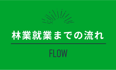 林業就業までの流れ